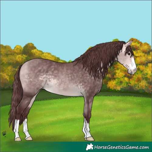 Horse Color:Platinum Chocolate Buckskin 