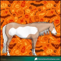 Horse Color:Silver Amber Champagne Frame 