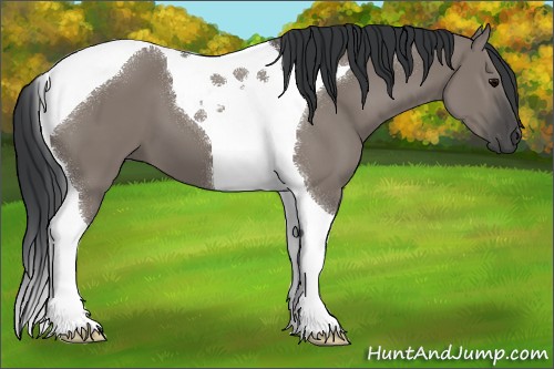 Horse Color:Grullo Tobiano 