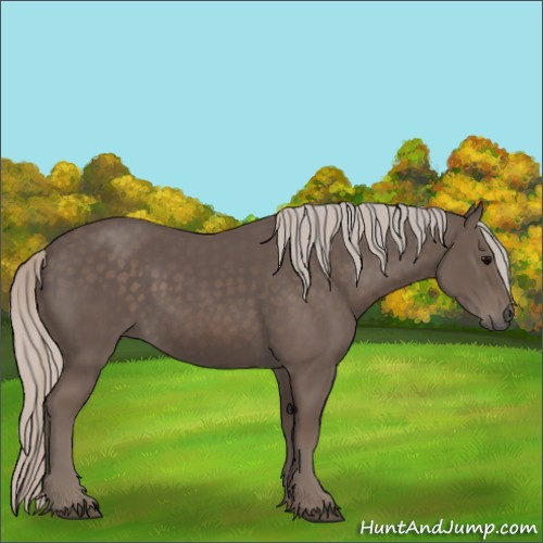 Horse Color:Silver Black 