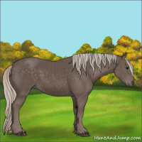 Horse Color:Silver Black