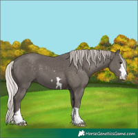 Horse Color:Silver Black 