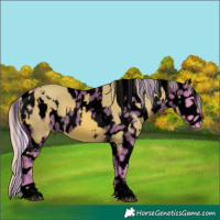 Horse Color:Void Watercolor Chestnut and Void Watercolor White Spotted Silver Brown Roan Dun Appaloosa