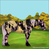 Horse Color:Void Watercolor Chestnut  and Void Watercolor White Spotted Silver Brown Roan Dun Appaloosa 