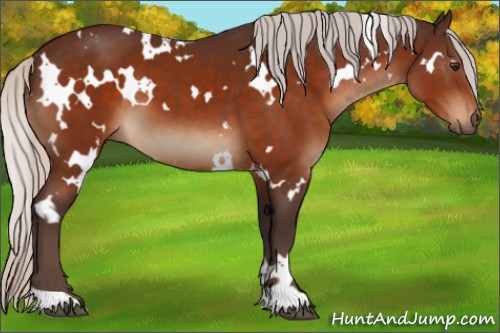 Horse Color:White Spotted Silver Brown 