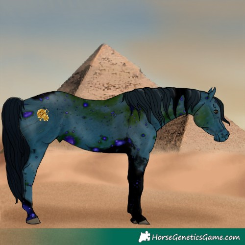 Horse Color:ERROR: UNKNOWN ANOMALY