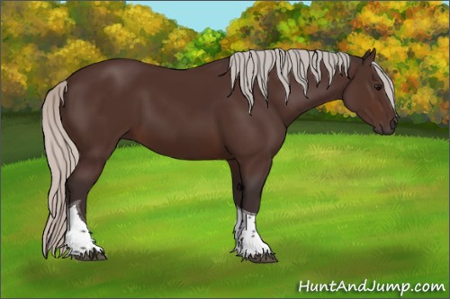 Horse Color:Silver Brown Tobiano 