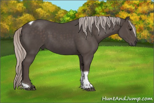 Horse Color:Silver Black Tobiano 