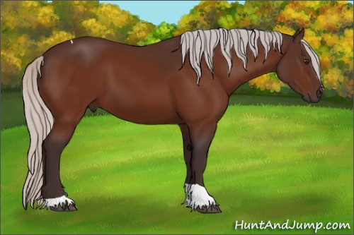 Horse Color:Silver Brown Tobiano 