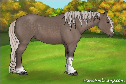 Horse Color:Silver Blue Roan Tobiano Frame 