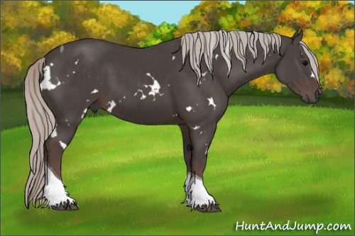 Horse Color:White Spotted Silver Black Tobiano 