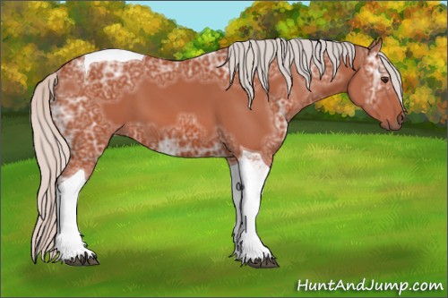 Horse Color:Silver Brown Ice Tobiano 