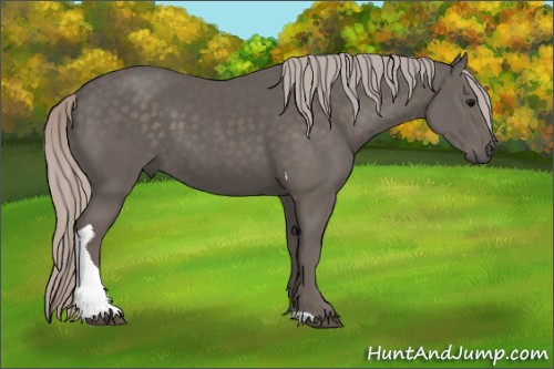 Horse Color:Silver Black Tobiano 