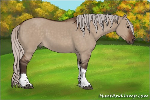 Horse Color:Silver Brown Dun Tobiano 