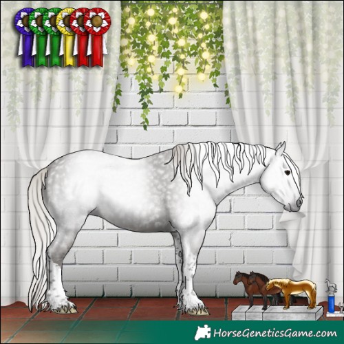 Horse Color:Gray Silver Black Tobiano 