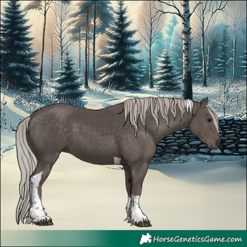 Horse Color:Silver Black Tobiano 