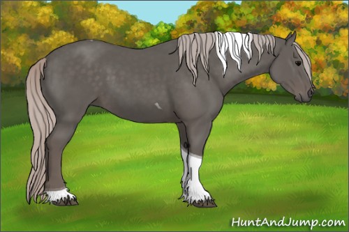 Horse Color:Silver Black Tobiano 