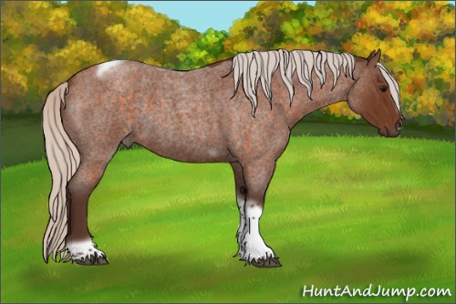 Horse Color:Silver Buckskin Roan Tobiano Frame 