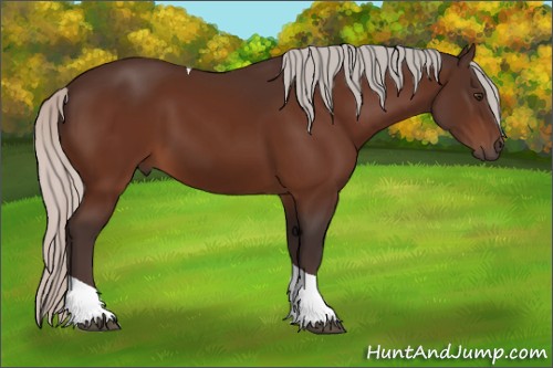 Horse Color:Silver Brown Tobiano 