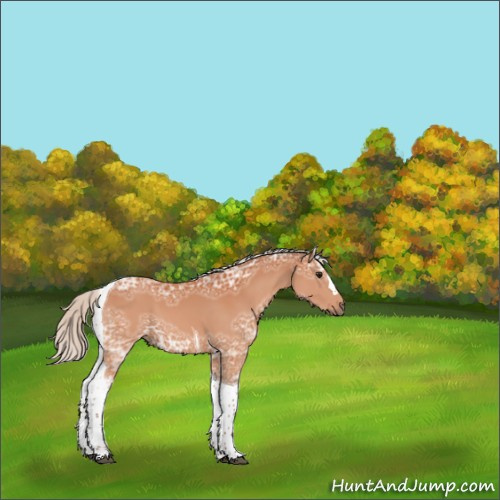 Horse Color:Silver Bay Ice Tobiano 