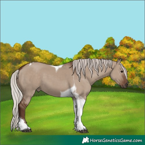 Horse Color:Silver Grullo Tobiano 