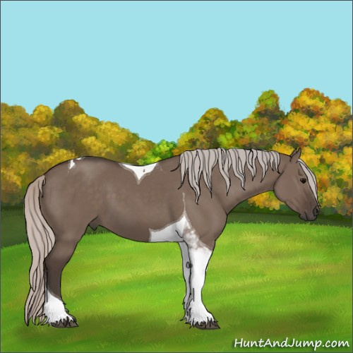 Horse Color:Silver Grullo Tobiano 