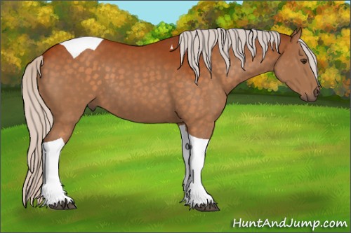 Horse Color:Silver Buckskin Tobiano 