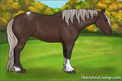 Horse Color:Silver Brown Tobiano 