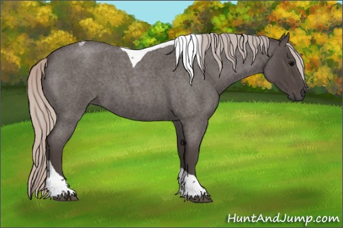 Horse Color:Silver Blue Roan Tobiano 