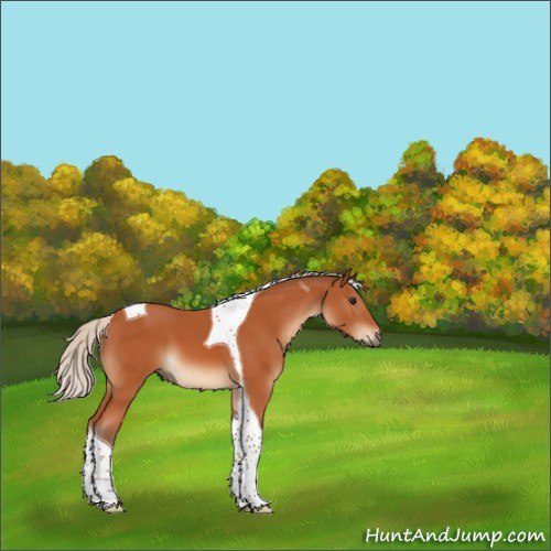 Horse Color:Silver Bay Tobiano 