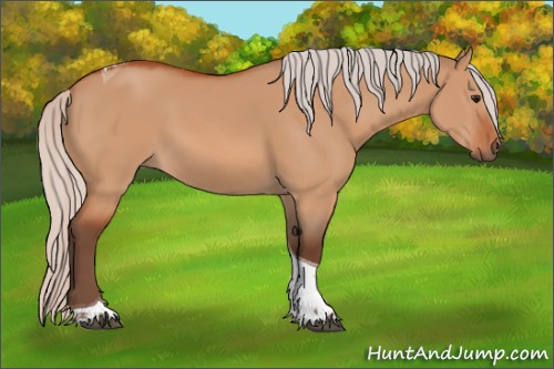 Horse Color:Silver Bay Dun Tobiano 