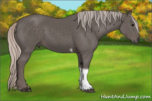 Horse Color:Silver Black Tobiano 