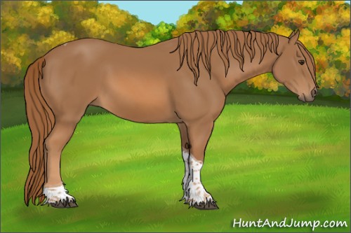 Horse Color:Chestnut Tobiano 