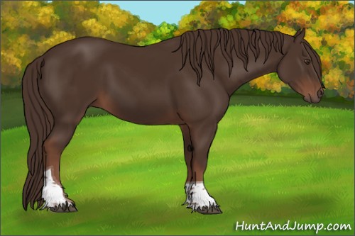 Horse Color:Liver Chestnut Tobiano 