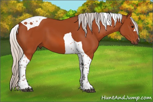 Horse Color:Silver Bay Tobiano 
