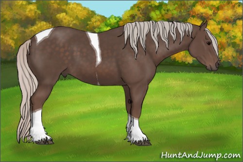 Horse Color:Silver Black Tobiano 