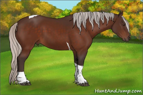 Horse Color:Silver Brown Tobiano 