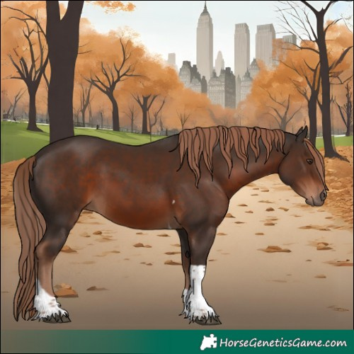 Horse Color:Liver Chestnut Tobiano 