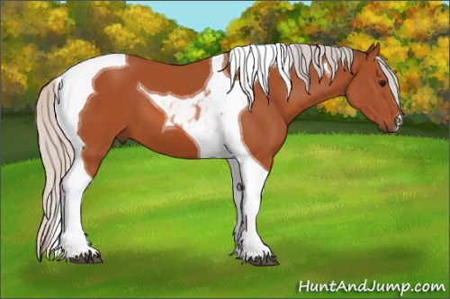 Horse Color:Silver Bay Tobiano 