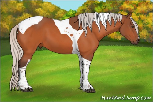 Horse Color:Silver Bay Tobiano 