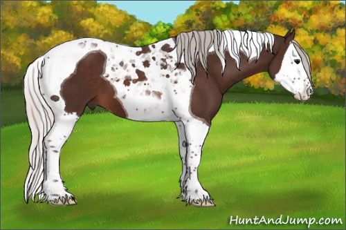Horse Color:Silver Brown Splash Tobiano 