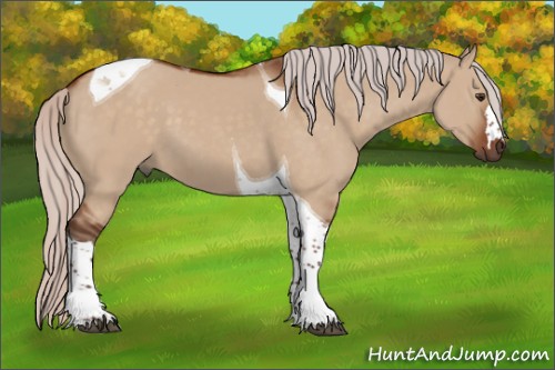 Horse Color:Silver Brown Dun Tobiano 