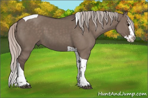 Horse Color:Silver Grullo Splash Tobiano 