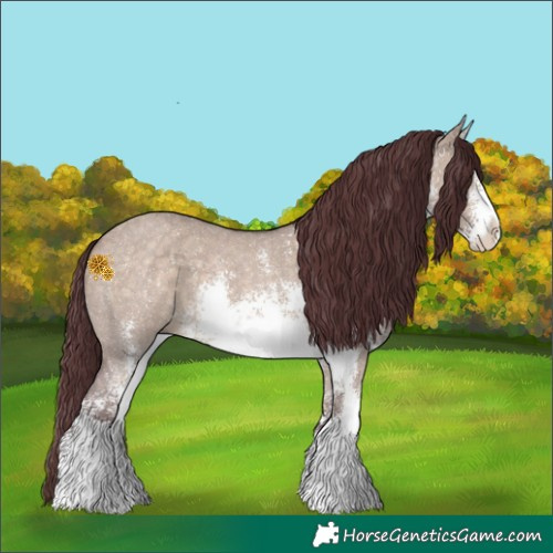 Horse Color:White Spotted Chocolate Brown Dun Sabino Rabicano 