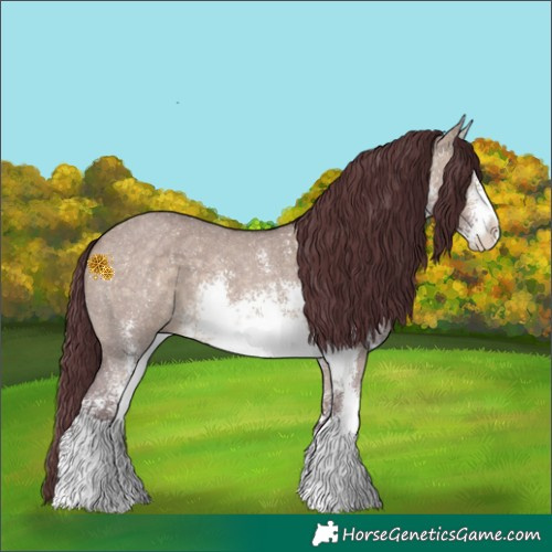 Horse Color:White Spotted Chocolate Brown Dun Sabino Rabicano 