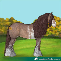 Horse Color:Chocolate Brown Dun Sabino Rabicano