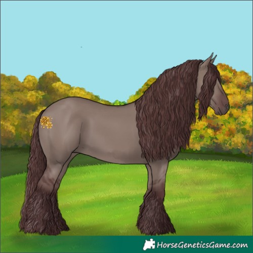 Horse Color:Chocolate Grullo 