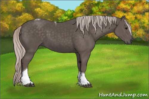 Horse Color:Silver Black Tobiano 