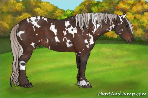 Horse Color:White Spotted Silver Brown 