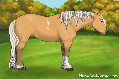Horse Color:Silver Buckskin Tobiano 